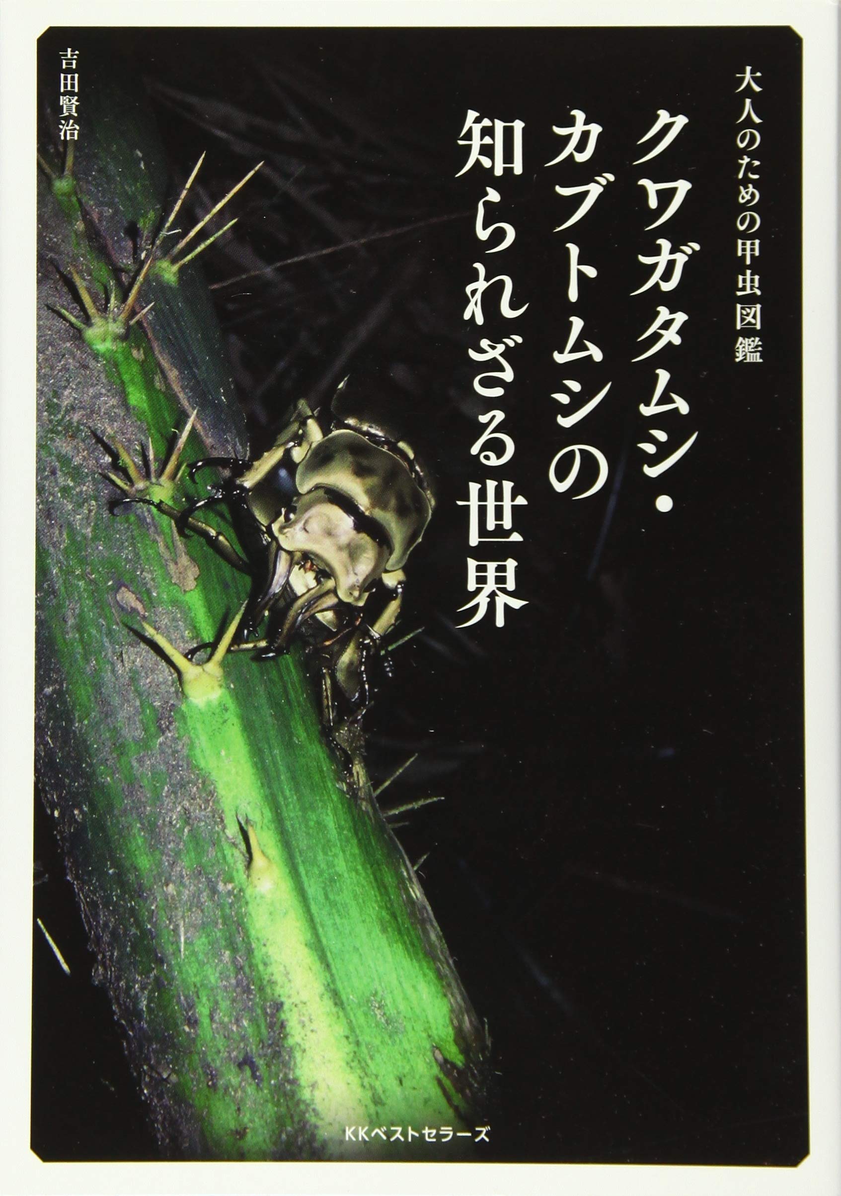 日本産クワガタムシ大図鑑　吉田賢治著　虫研 クワガタ図鑑 日本産クワガタムシ大図鑑／吉田賢治／虫研